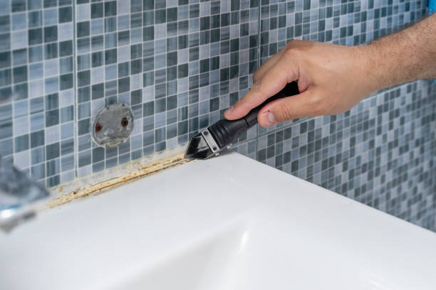Best Fast Mold Removal  in Saltville, VA