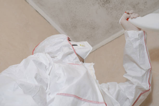 Best Mold Inspection  in Saltville, VA