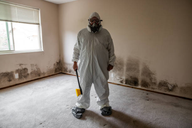 Best Office Mold Removal Services  in Saltville, VA